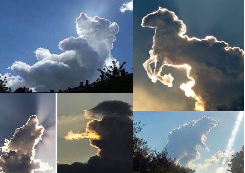 Cloud Shapes